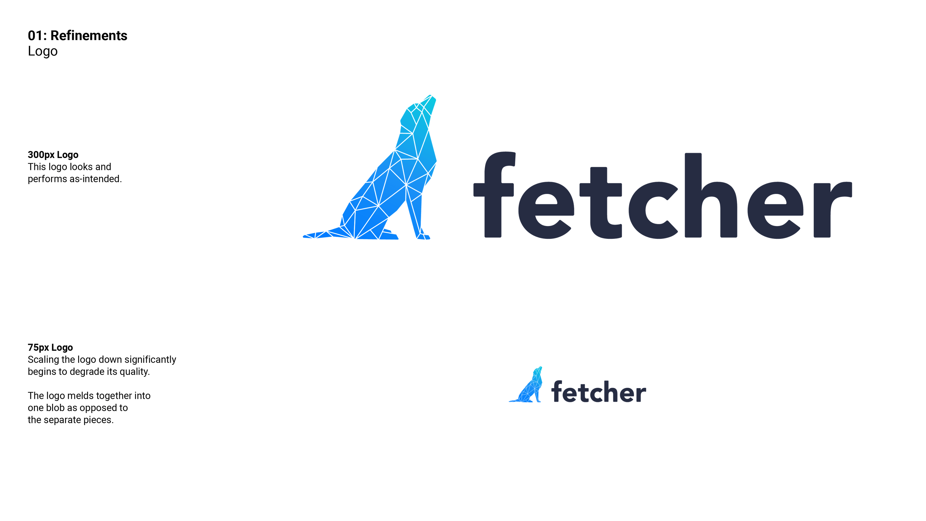 Fetcher brand identity